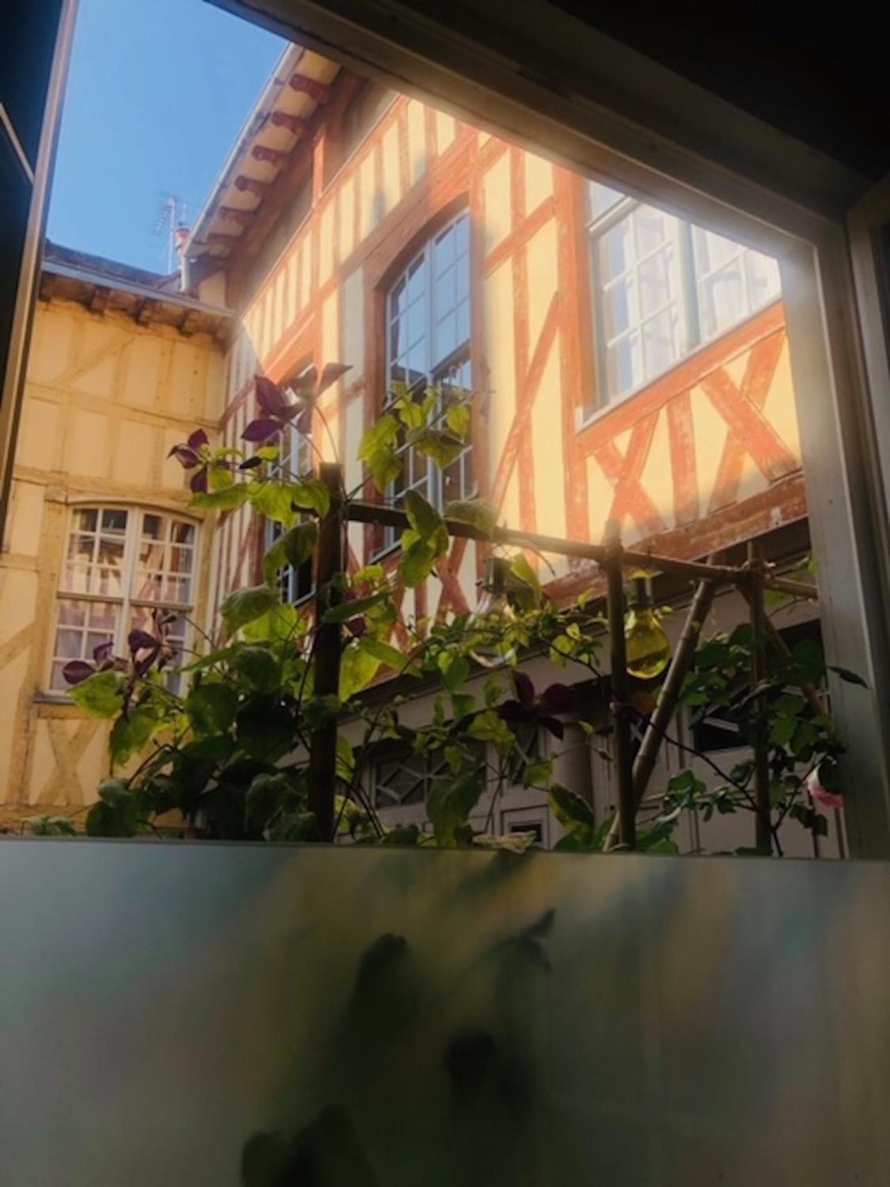 Atelier Des Glycines, Troyes Bouchon De Champagne, Sublime Site Patrimonial Daire Dış mekan fotoğraf