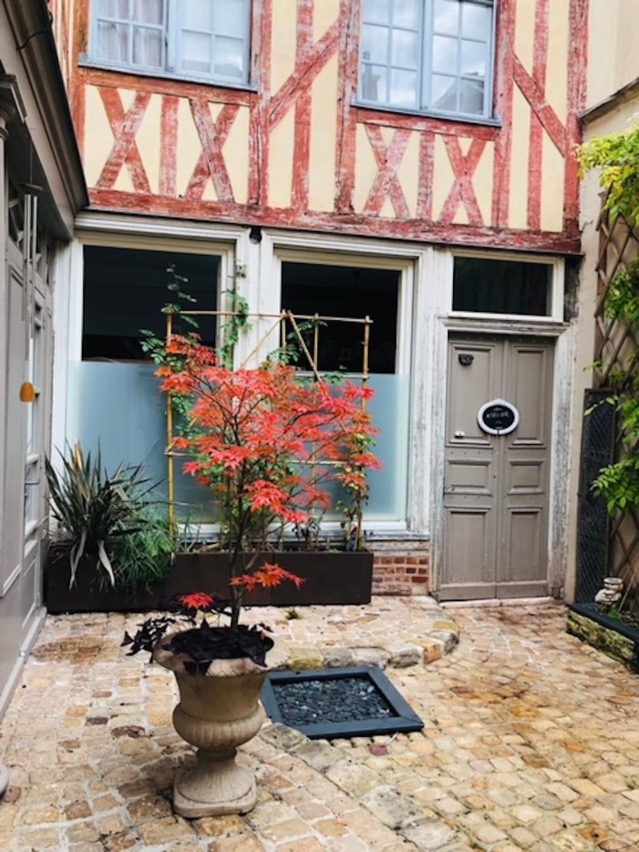 Atelier Des Glycines, Troyes Bouchon De Champagne, Sublime Site Patrimonial Daire Dış mekan fotoğraf